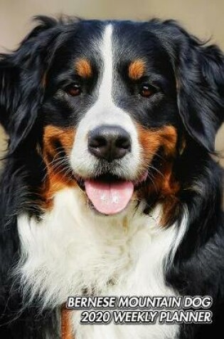Cover of Bernese Mountain Dog 2020 Weekly Planner