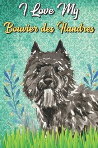 Cover of I Love My Bouvier des Flandres
