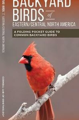 Cover of Backyard Birds of Eastern/Central North America