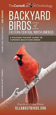 Book cover for Backyard Birds of Eastern/Central North America