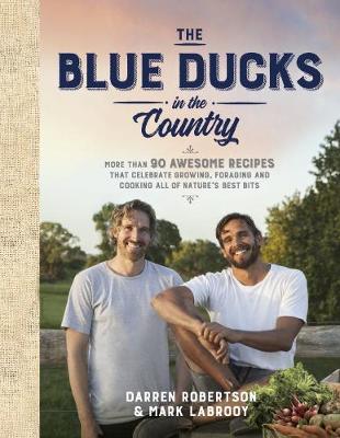 Book cover for The Blue Ducks in the Country