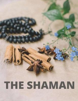 Book cover for The Shaman