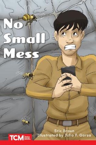 Cover of No Small Mess