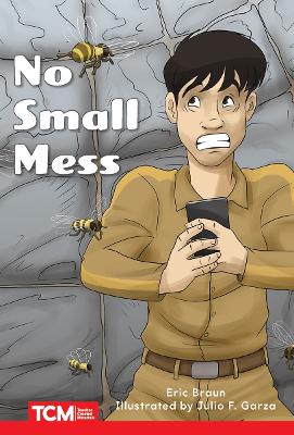 Book cover for No Small Mess