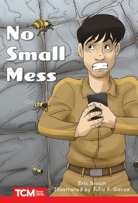Cover of No Small Mess