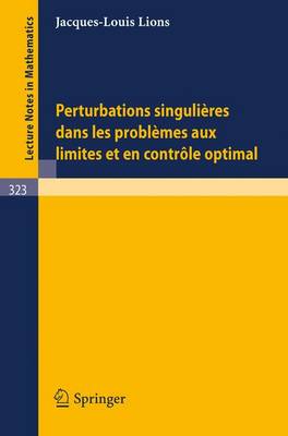 Cover of Perturbations Singulieres Dans Les Problemes Aux Limites Et En Controle Optimal