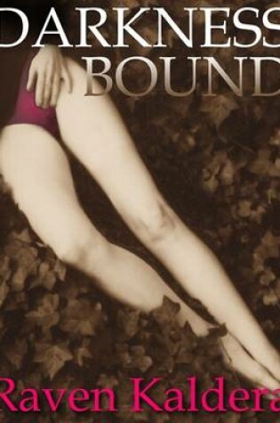 Cover of Darkness Bound