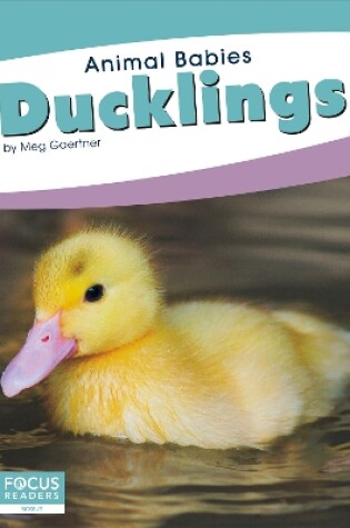 Cover of Animal Babies: Ducklings