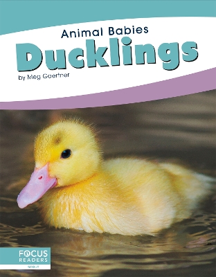 Book cover for Ducklings