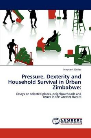 Cover of Pressure, Dexterity and Household Survival in Urban Zimbabwe
