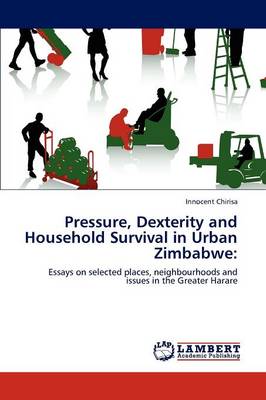 Book cover for Pressure, Dexterity and Household Survival in Urban Zimbabwe