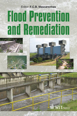 Book cover for Flood Prevention and Remediation