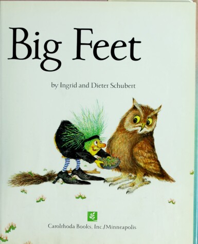 Book cover for Little Big Feet