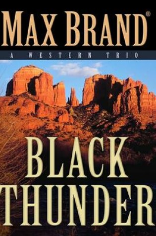 Cover of Black Thunder
