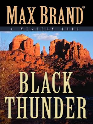 Book cover for Black Thunder