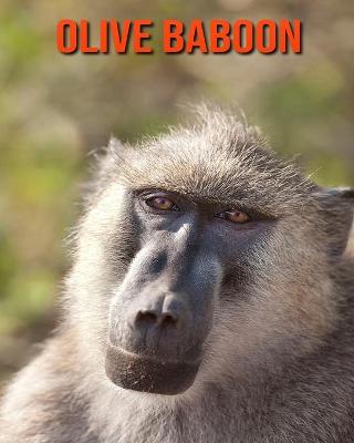 Book cover for Olive Baboon