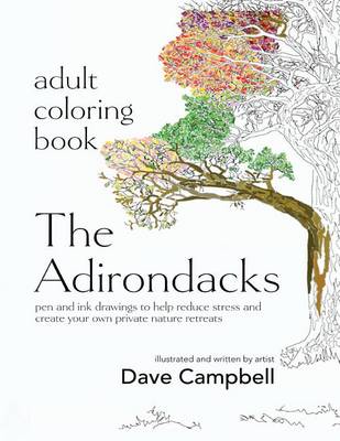 Book cover for Adult Coloring Book