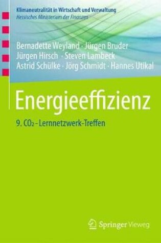 Cover of Energieeffizienz