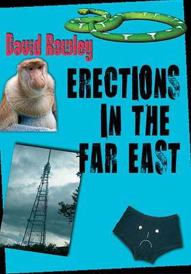 Book cover for Erections in the Far East