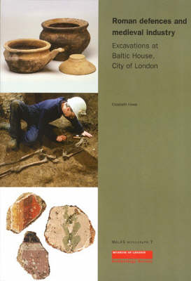 Book cover for Roman Defences and Medieval Industry