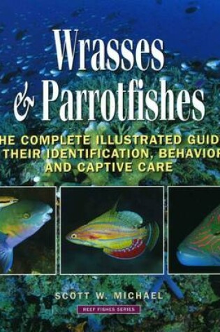 Cover of Wrasses and Parrotfishes