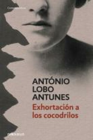 Cover of Exhortacion a Los Cocodrilos