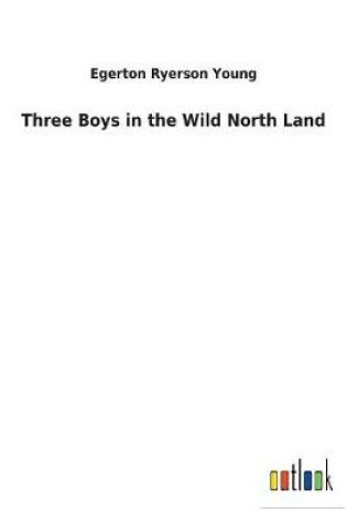 Cover of Three Boys in the Wild North Land