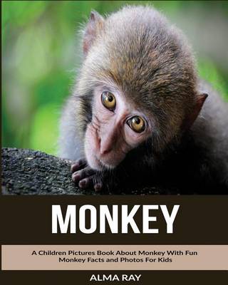 Book cover for Monkey