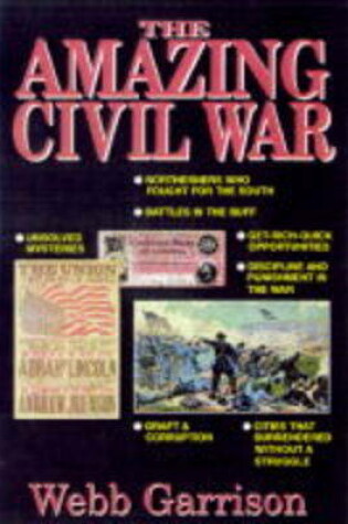 Cover of The Amazing Civil War