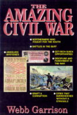 Book cover for The Amazing Civil War