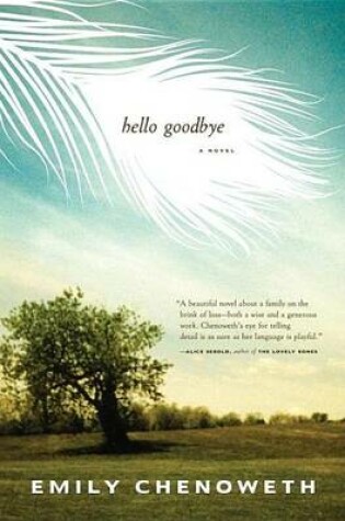 Cover of Hello Goodbye: A Novel