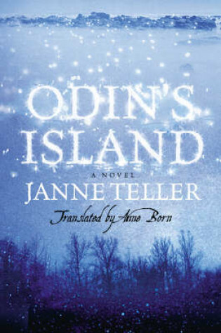 Cover of Odin's Island