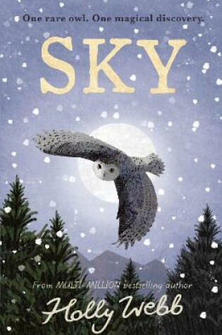 Cover of Sky