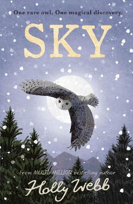 Book cover for Sky