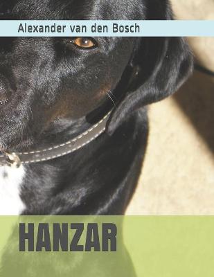 Book cover for Hanzar