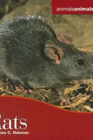 Cover of Rats