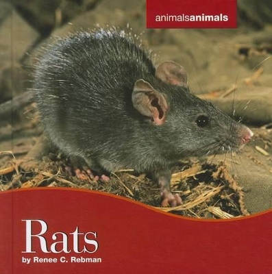 Book cover for Rats