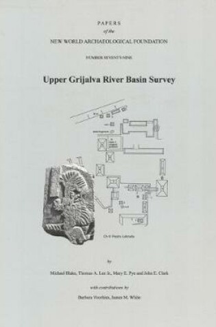 Cover of Upper Grijalva River Basin Survey