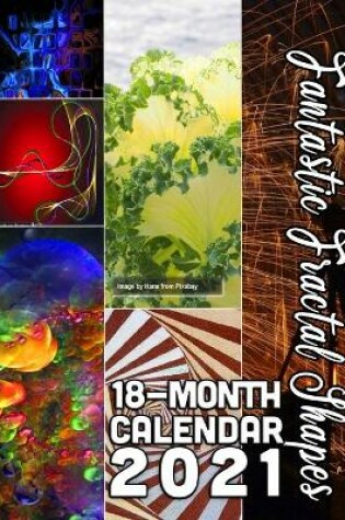 Cover of Fantastic Fractal Shapes 18-Month Calendar 2021