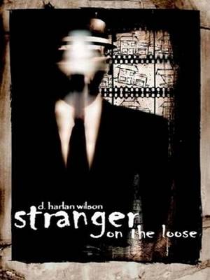 Book cover for Stranger on the Loose