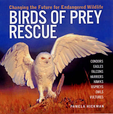 Book cover for Birds of Prey Rescue
