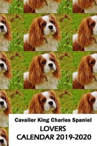 Cover of Cavalier King Charles Spaniel Lovers Calendar 2019-2020