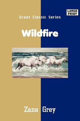 Book cover for Wildfire