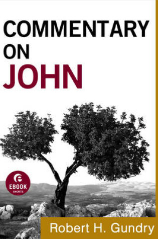 Cover of Commentary on John