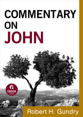 Book cover for Commentary on John