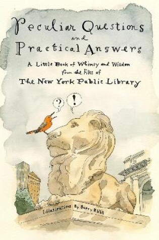 Cover of Peculiar Questions and Practical Answers
