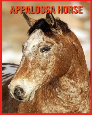 Book cover for Appaloosa Horse