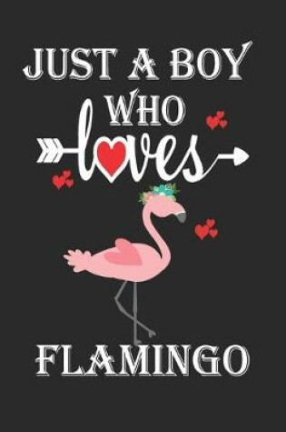 Cover of Just a Boy Who Loves Flamingo