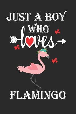 Book cover for Just a Boy Who Loves Flamingo