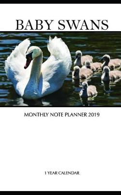 Book cover for Baby Swans Monthly Note Planner 2019 1 Year Calendar